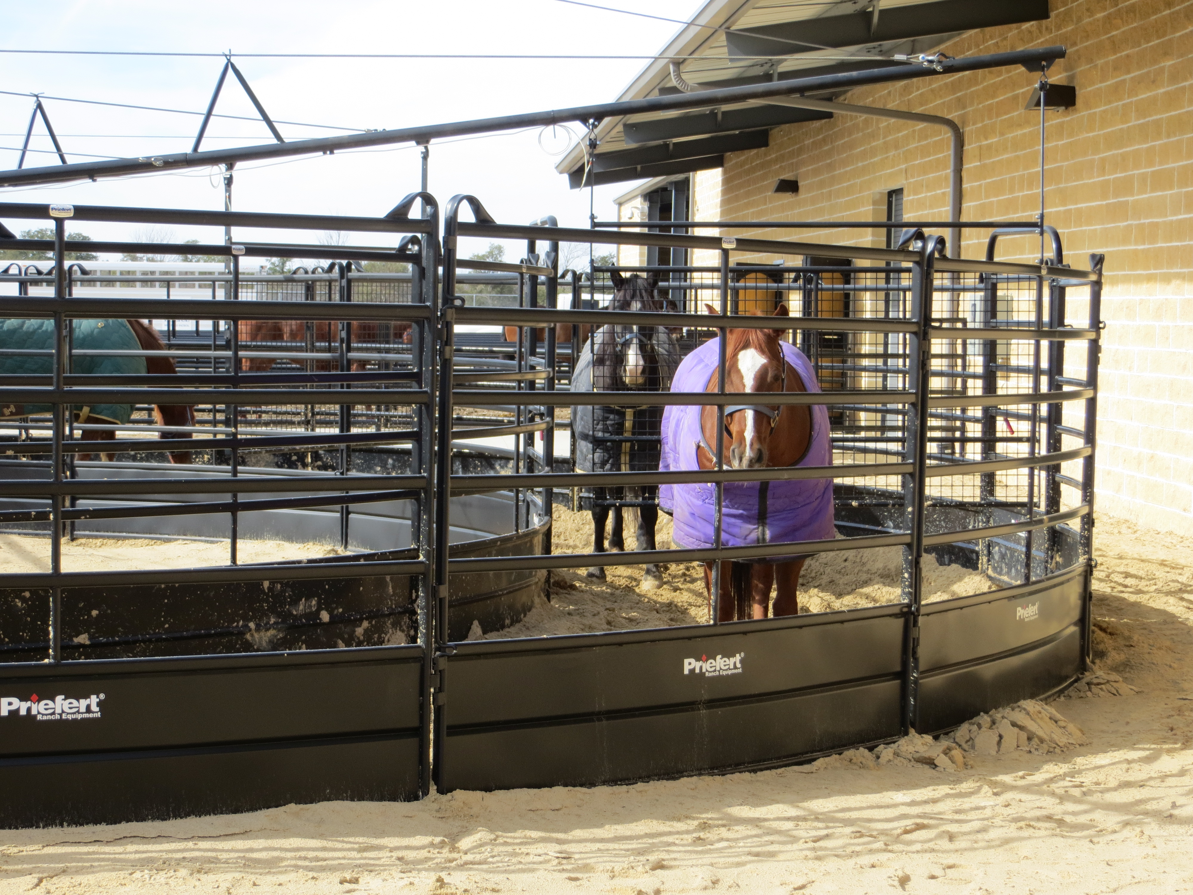 HW Mounted Patrol03.JPG